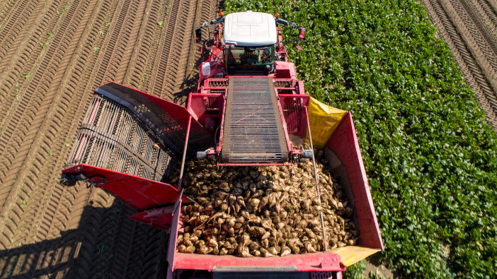 NFU Sugar and British Sugar agree 2026/27 sugar beet contracts