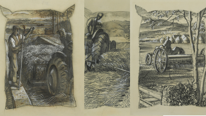 Rare Tunnicliffe drawings to go under the hammer