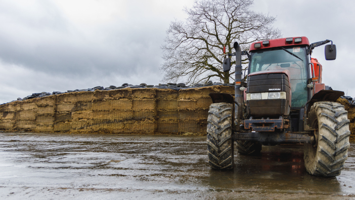 Silage samples show a mixed picture