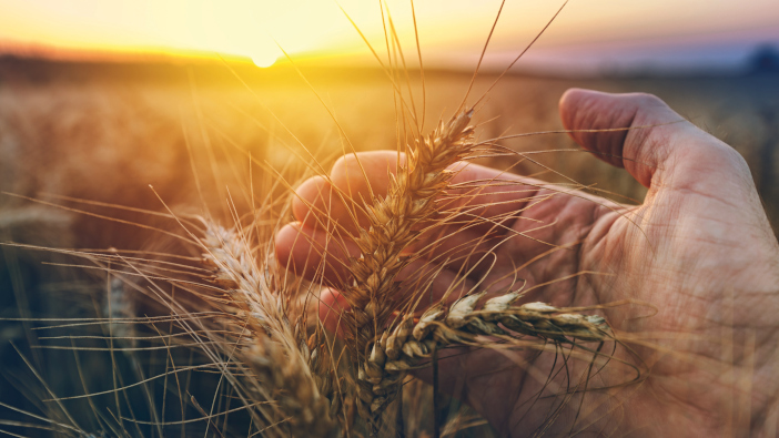 New agronomy conference to shed light on the future of farming