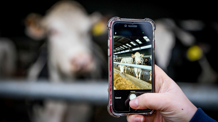 Red Tractor improves portal to ease audit burden