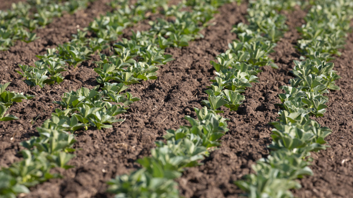 PGRO to showcase changes to Yield Enhancement Network