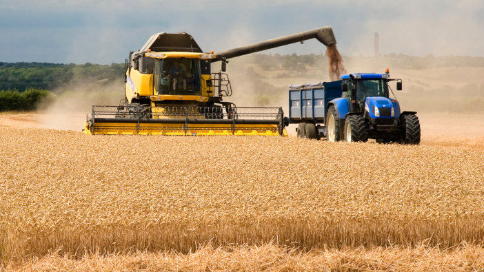 Second Harvest Report shows yield and quality variation