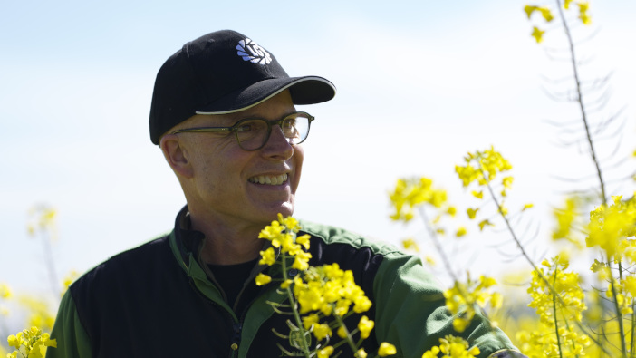Hybrid oilseed rape impresses in North Yorkshire